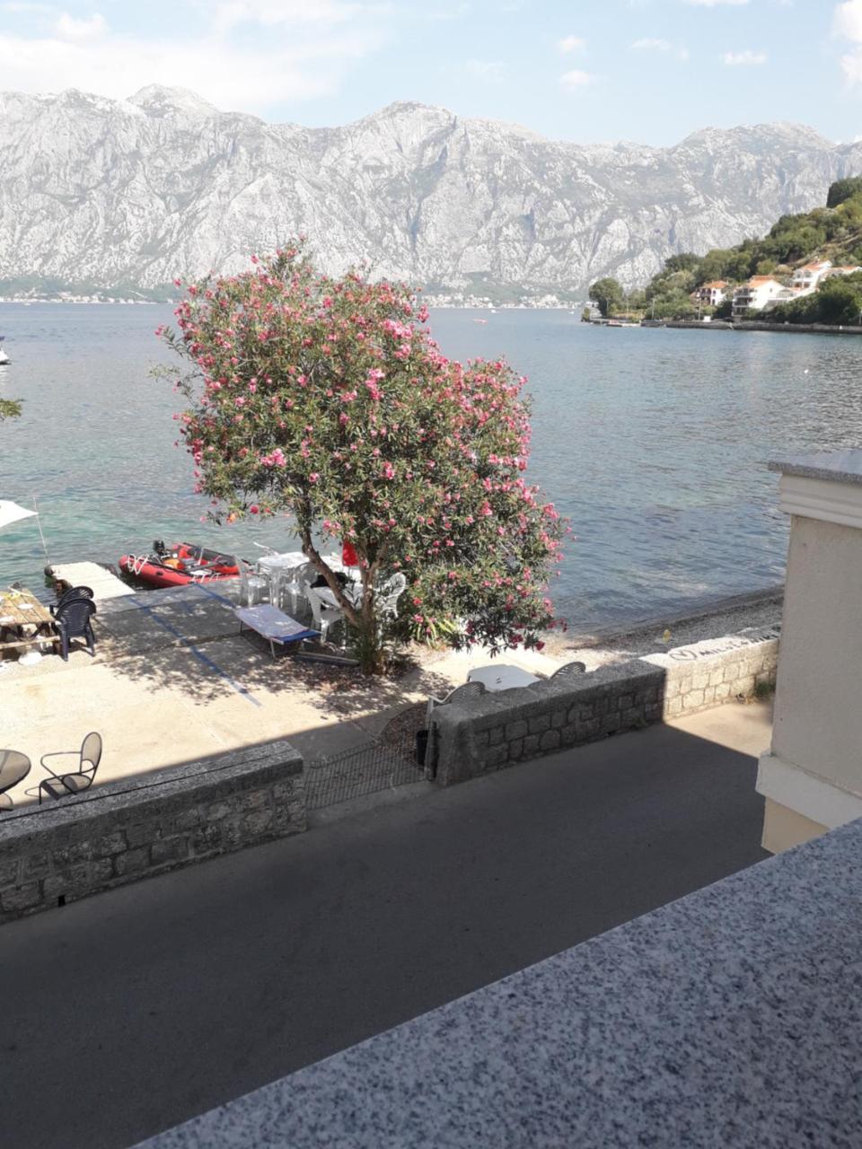 Apartmants Alexander Apartment Kotor Exterior photo