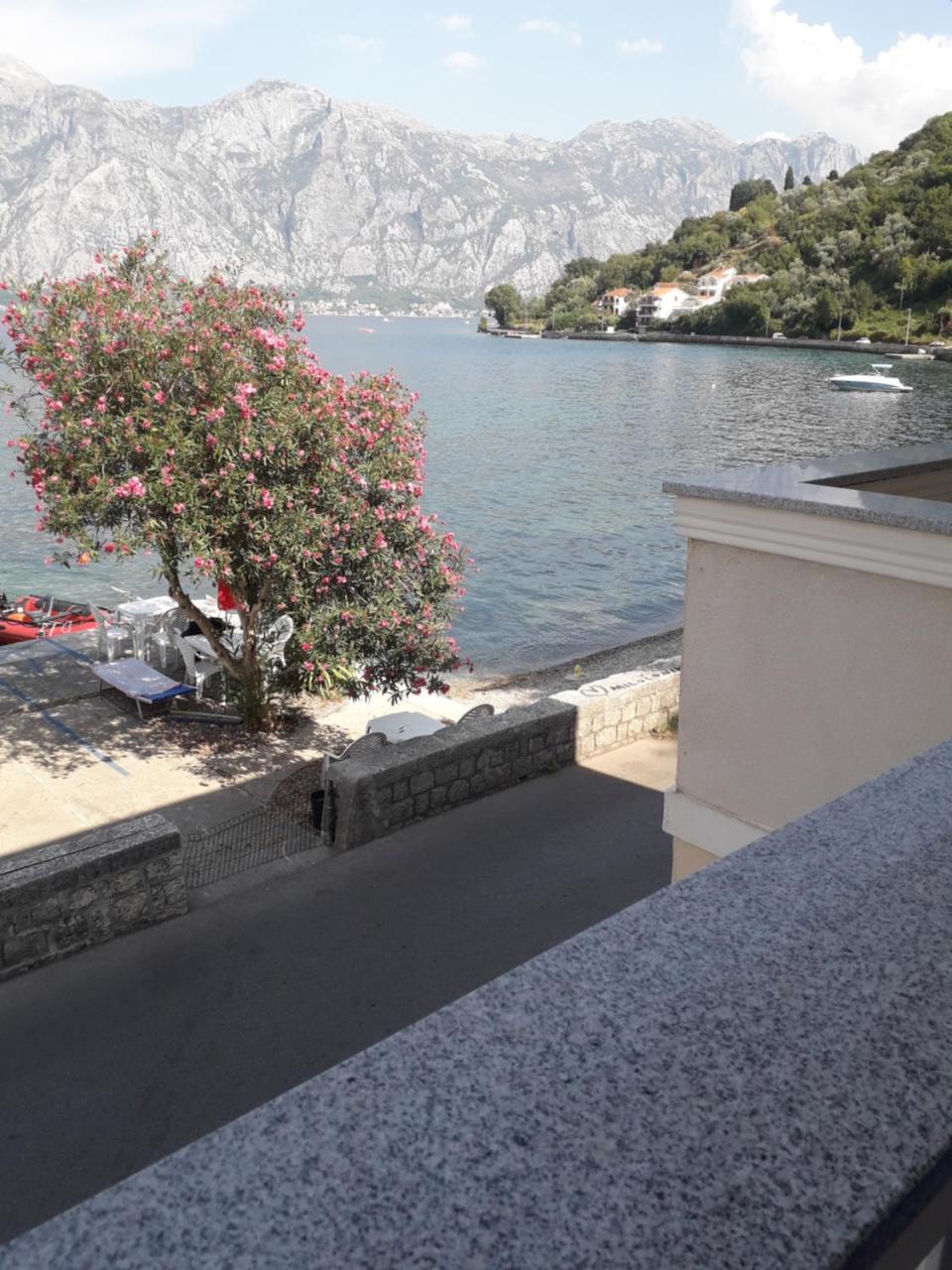 Apartmants Alexander Apartment Kotor Exterior photo